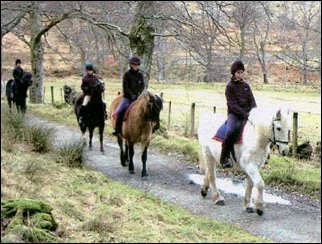pony trekking